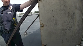 צילום: מסך יוטיוב